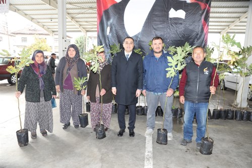 VALİ ÖKSÜZ, KOCAALİLER'DE İNCİR FİDANI DAĞITIM PROGRAMINA KATILDI 
